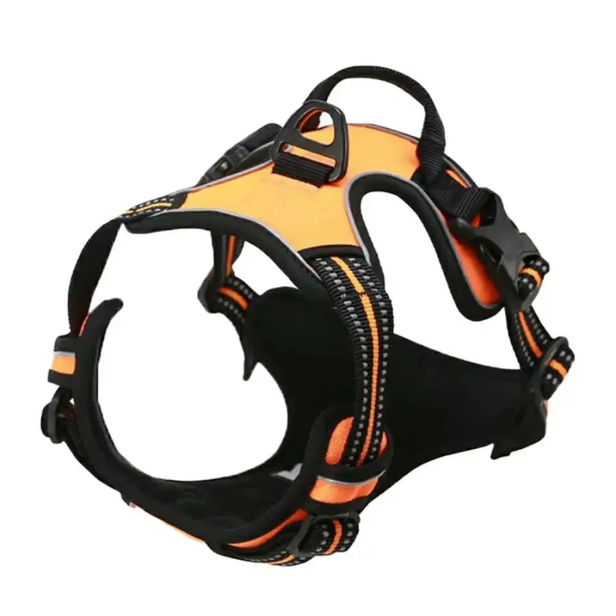 Premium Leather Walking Set | Ergonomic Vest Harness, Collar & Matching Leash