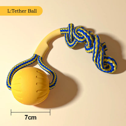 4-Pack EVA Dog Toy Set | Flying Disc, Ball, Tug Ring & Rope, Chew-Proof
