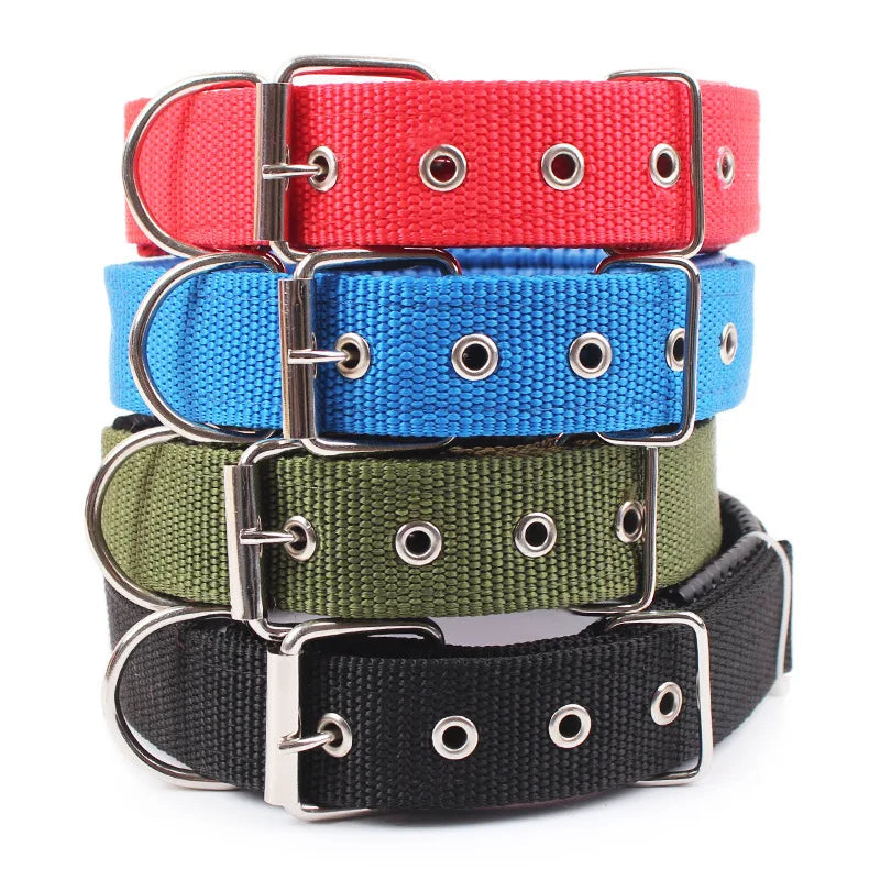 All-Season Nylon Dog Collar | Weather-Resistant, Reinforced D-Ring, Breakaway Buckle