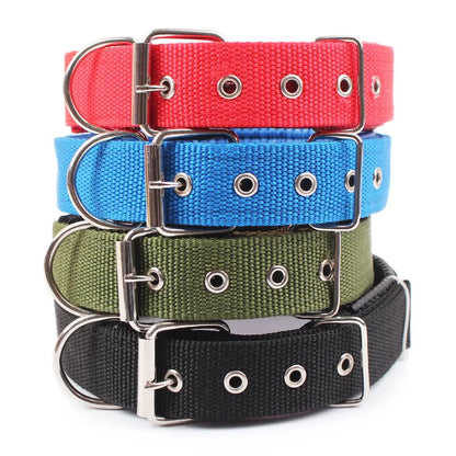 All-Season Nylon Dog Collar | Weather-Resistant, Reinforced D-Ring, Breakaway Buckle