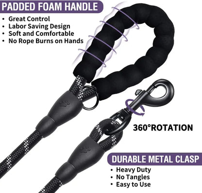 Mountain-Grade Reflective Safety Leash | Climbing-Grade Nylon, Built for Large Breeds