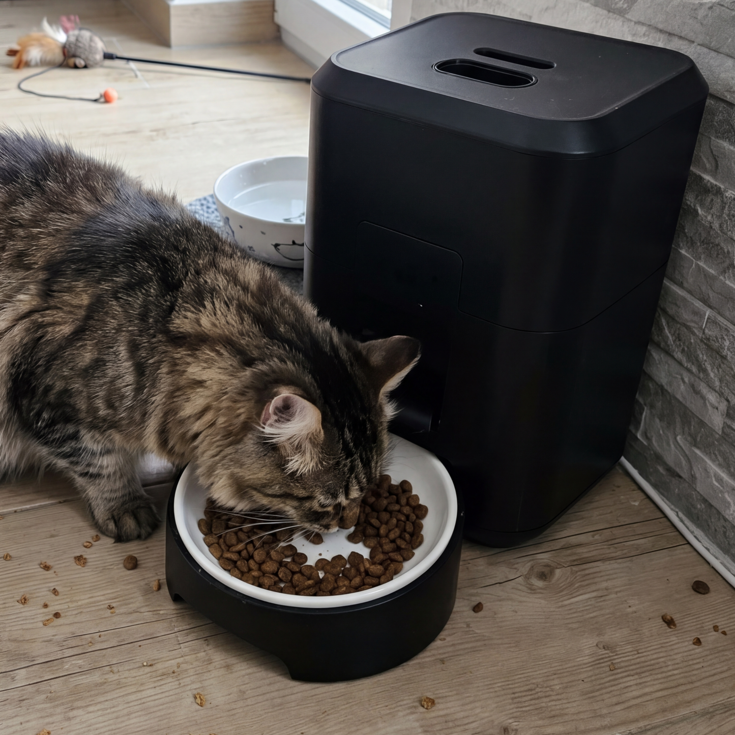 Pawvera Automatic Pet Feeder