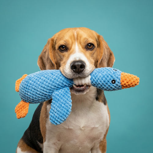 Tough-Bite Plush Goose | Double-Layered Bite-Resistant Fabric, Built to Play & Snuggle