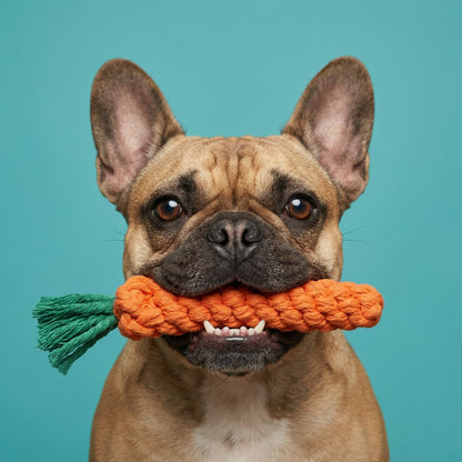Hand-Woven Cotton Dental Chew | Natural Plaque Removal, Gum Massage, Fresh Breath