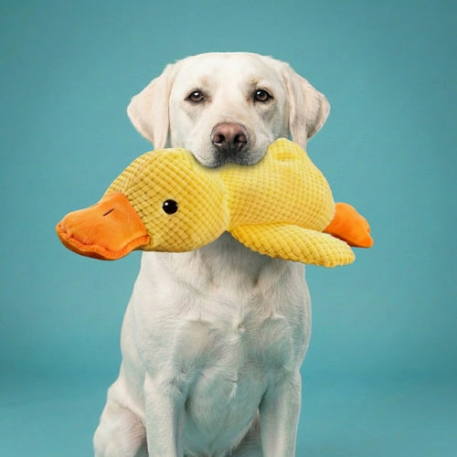 Bite-Resistant Duck Companion