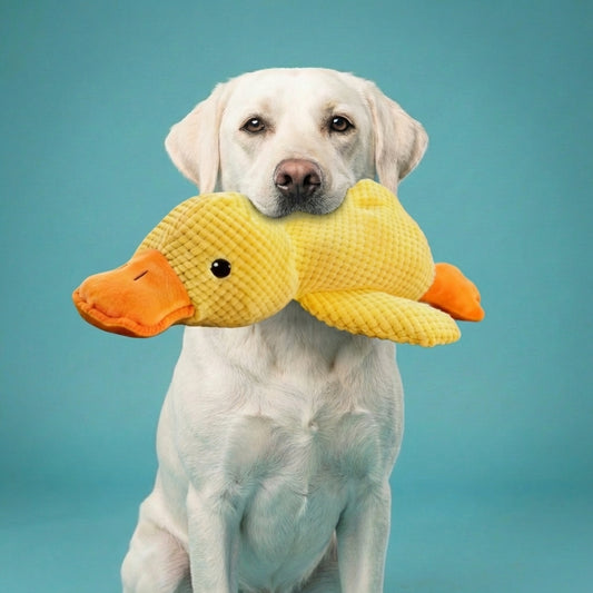 Bite-Resistant Duck Companion