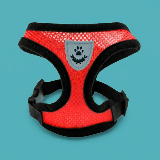 3D Air-Mesh Walking Set | Step-In Vest & Leash, Anti-Choke Design for Small Breeds