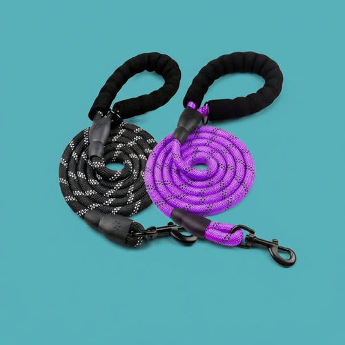 Mountain-Grade Reflective Safety Leash | Climbing-Grade Nylon, Built for Large Breeds