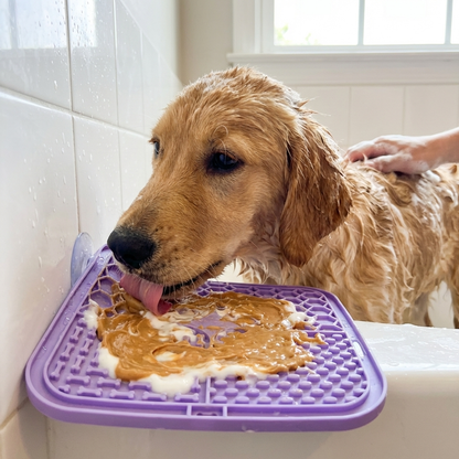 Silicone Lick Mat | Slow Feeder, Bath Distraction