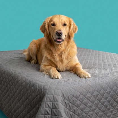 Waterproof Pet Blanket |Quilted, Sofa & Bed Protection