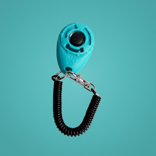 Dog Training Clicker | Coiled Wrist Strap, Raised Button