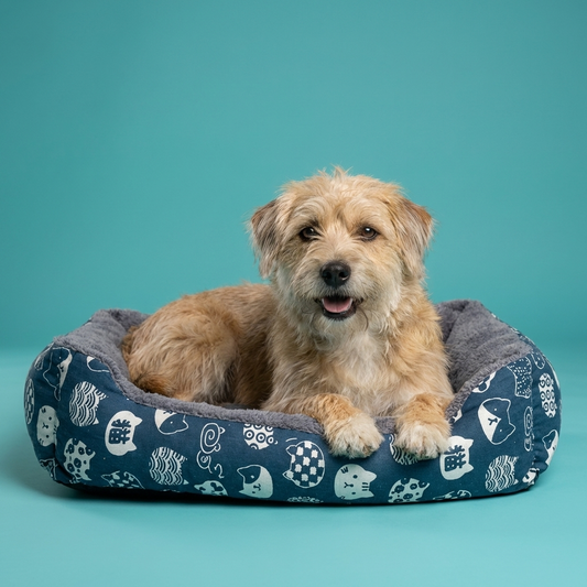 Soft Nest Dog Bed | Padded Cushion Base, Raised Bolster