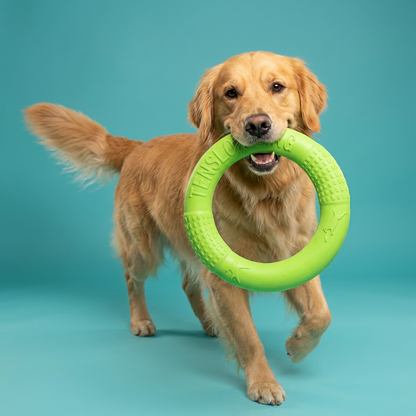 Rubber Training Ring | Tug, Fetch & Chew, Lightweight EVA,