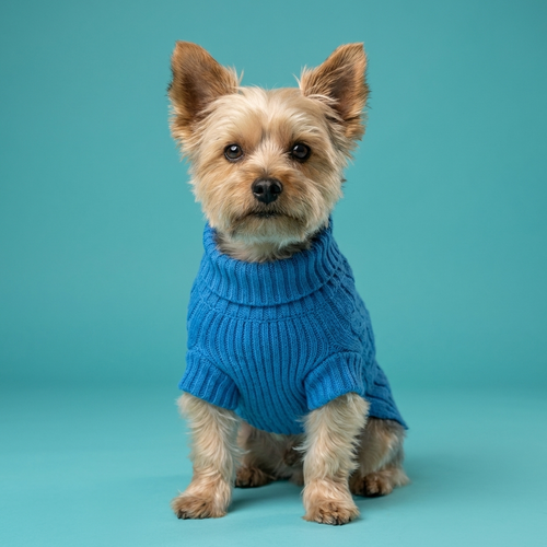 Cable Knit Dog Sweater | Classic Turtleneck, Soft Stretch Fit, 11 Colours, XS to 3XL