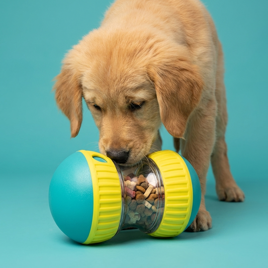Treat-Dispensing Tumbler Toy | Slow-Feed Puzzle, Elliptical Rolling Track, Durable Build