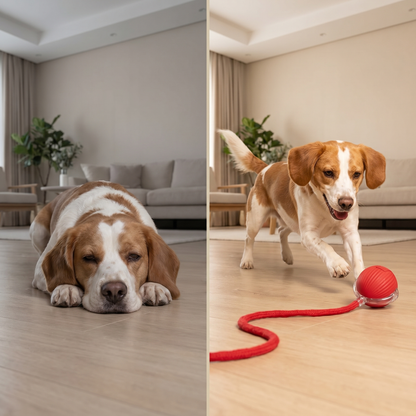 Smart Motion Interactive Ball | Motion-Sensor Activated, Self-Rolling, 3 Play Modes